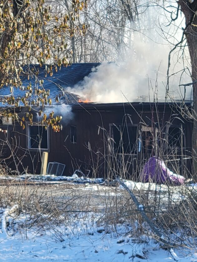 Dog alerts owner to neighboring house fire - The Review